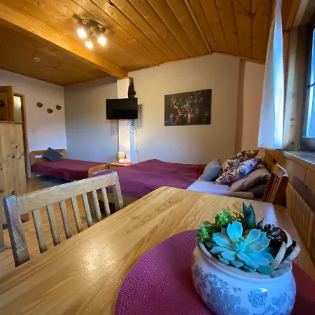 Gosciniec Salmopolski 3*