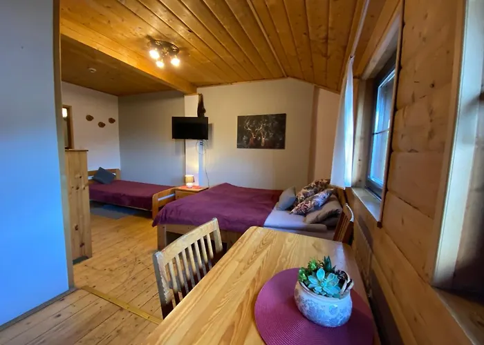 Gosciniec Salmopolski שצ'צ'ירק