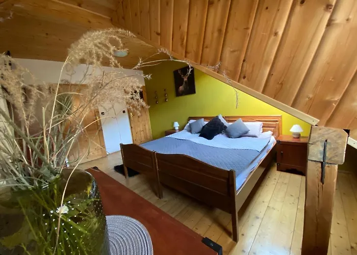 Gosciniec Salmopolski 3* שצ'צ'ירק