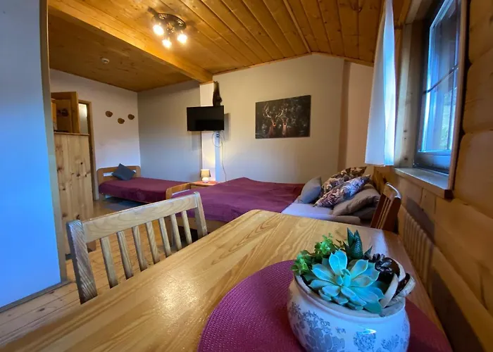 Gosciniec Salmopolski 3*