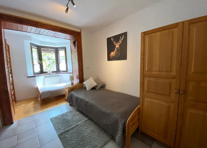 Gosciniec Salmopolski שצ'צ'ירק