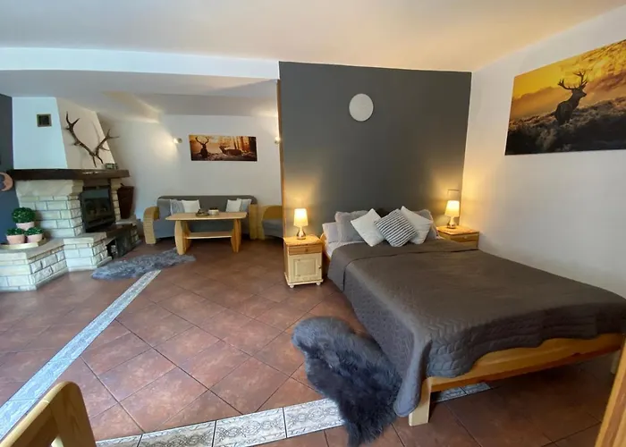 Gosciniec Salmopolski 3*