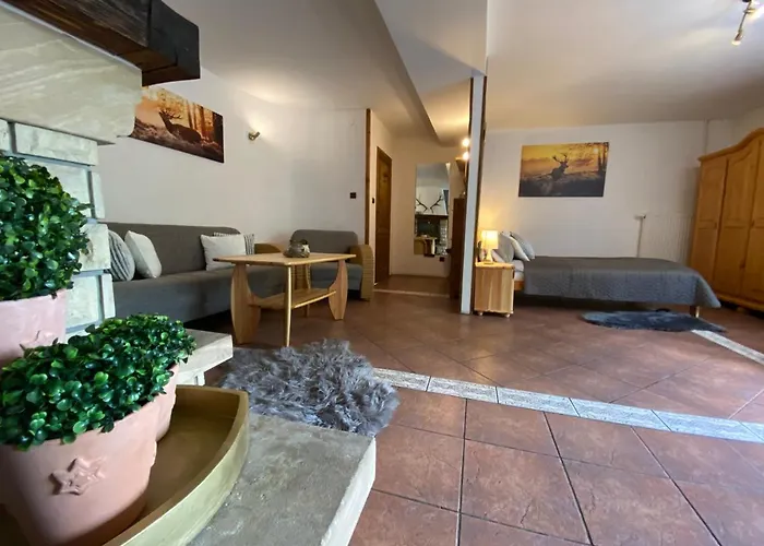 בית הארחה Gosciniec Salmopolski 3*